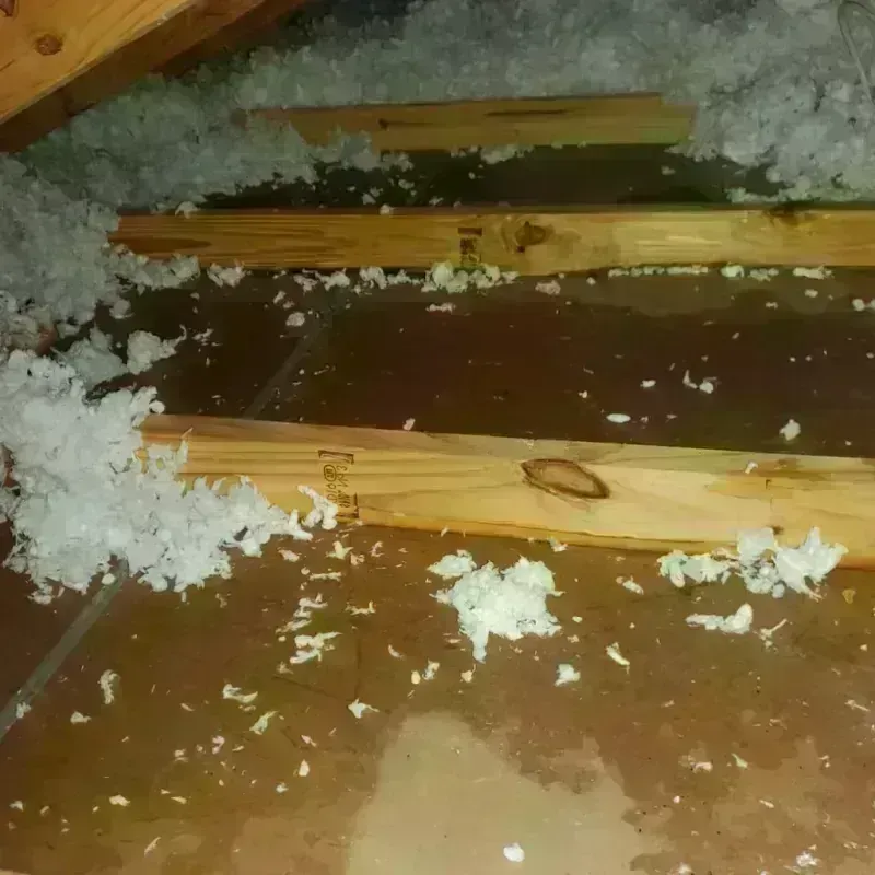 Attic Water Damage in Kildeer, IL