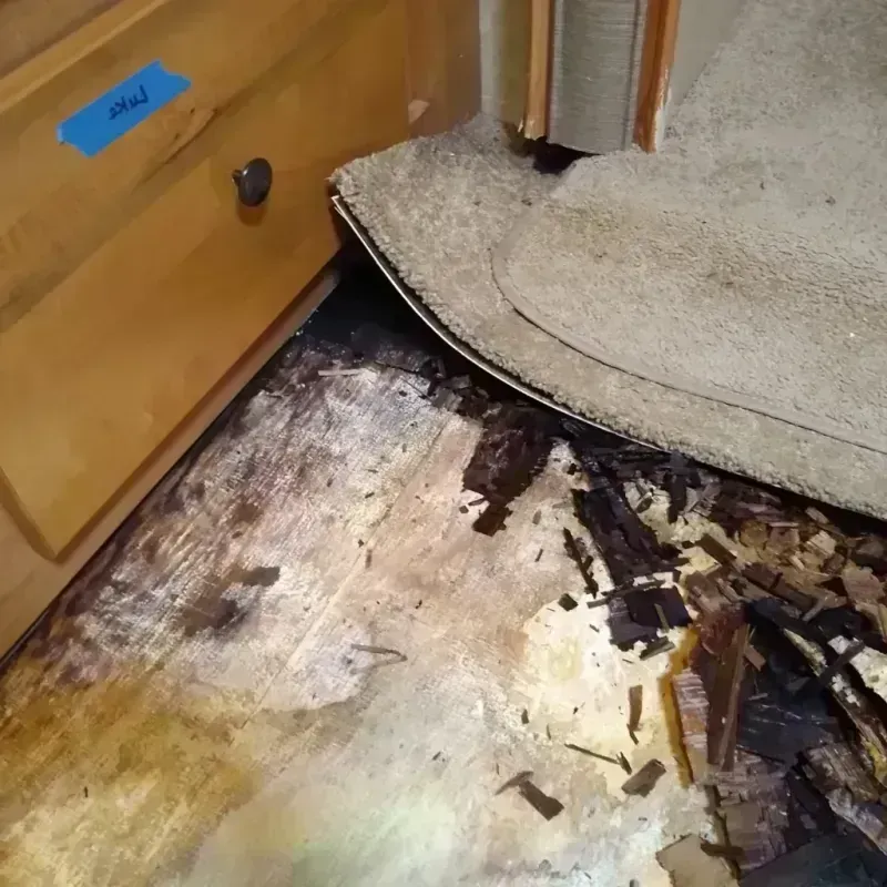 Wood Floor Water Damage in Kildeer, IL